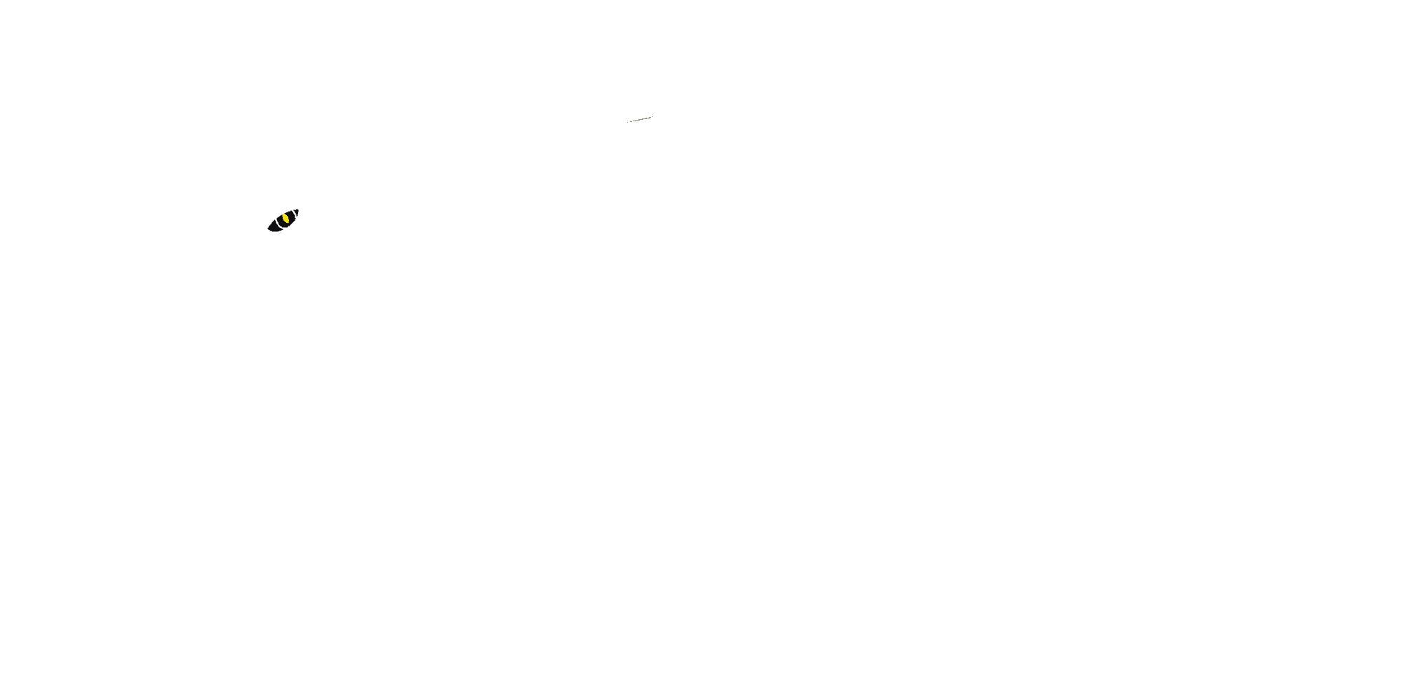 Jaguarundi Lodge logo