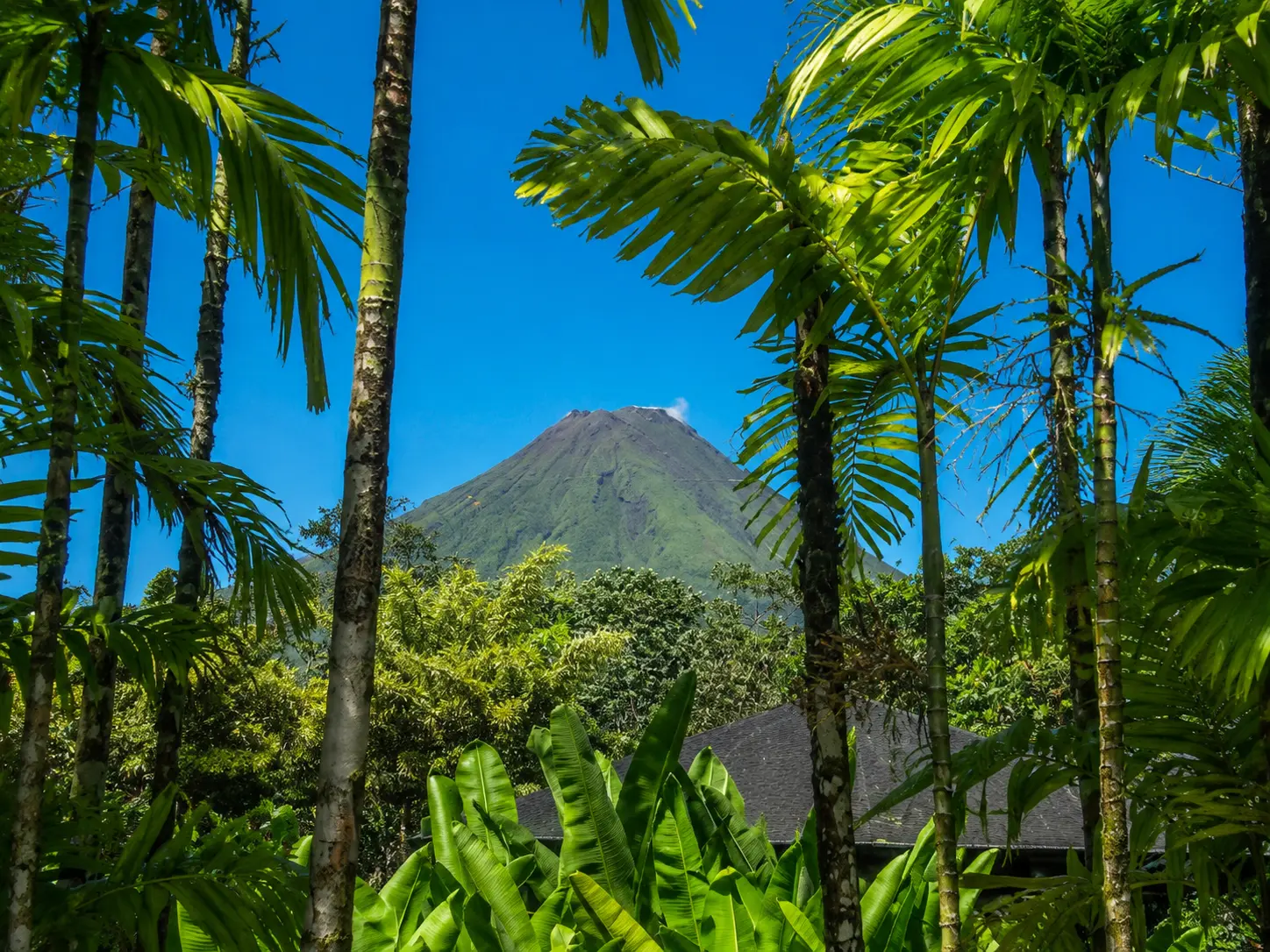 Vistas del Arenal